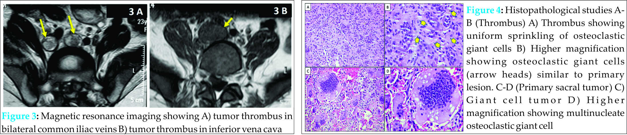 Fig 3 4